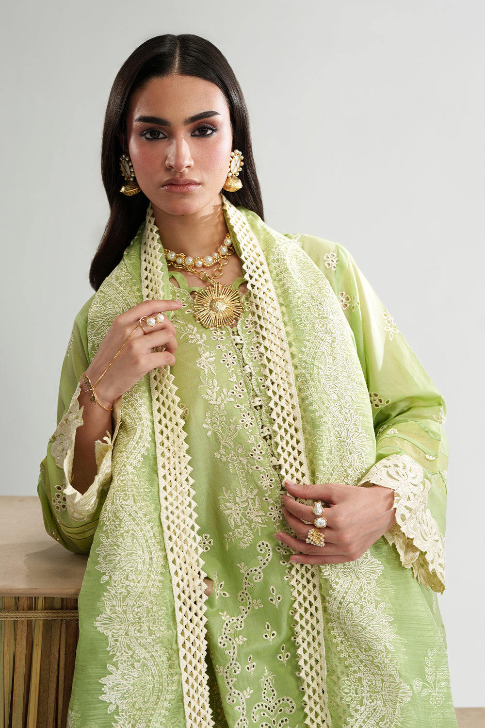 VERDAN (AD-03) Organza Pakistani Formal Dresses - aabyaan - 3