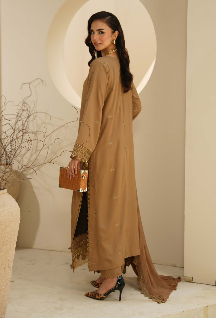 Mushak - D06 Chiffon Pakistani Winter Dresses - Humdum - 2