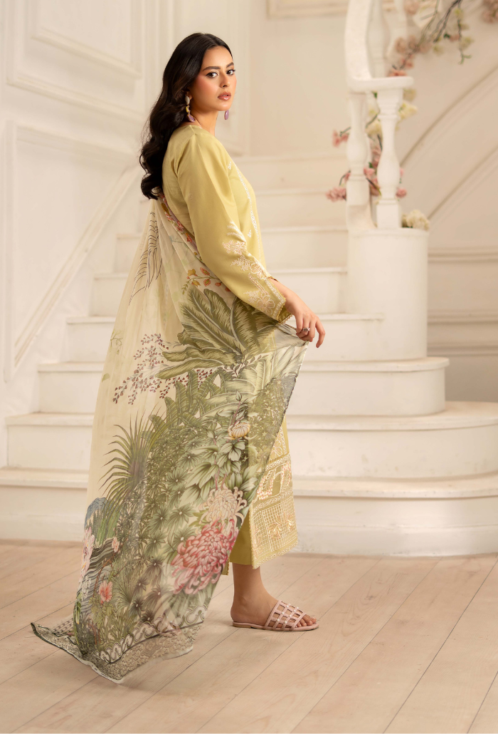 Inara-D07 Organza Pakistani Summer Dresses - Humdum - 2