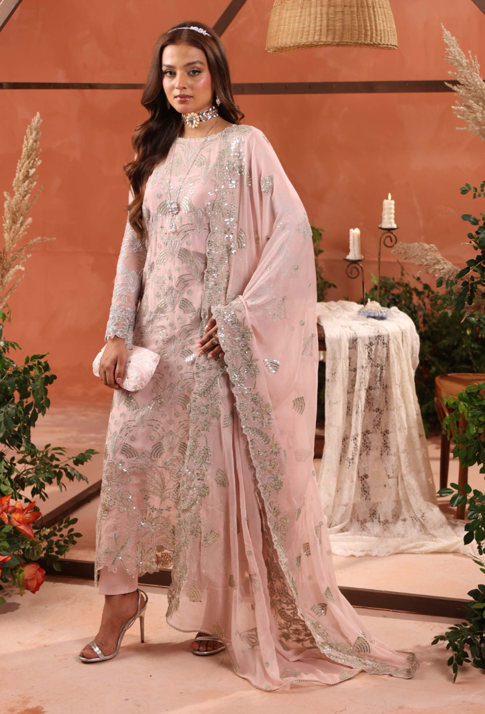 Heer-D04 Organza Pakistani Formal Dresses - Humdum - 1