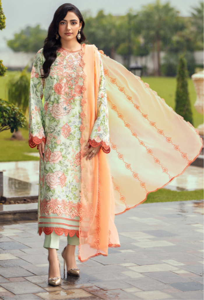 Diva - D03 Chiffon Pakistani Winter Dresses - Humdum - 1