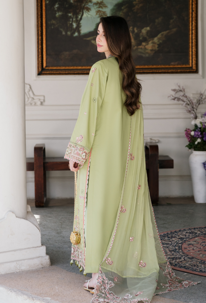 Meraki'2 - D05 Organza Pakistani Summer Dresses - Humdum - 2