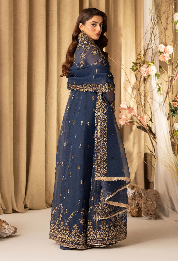 HOC - D08 Raw Silk Pakistani Formal Dresses - Humdum - 3