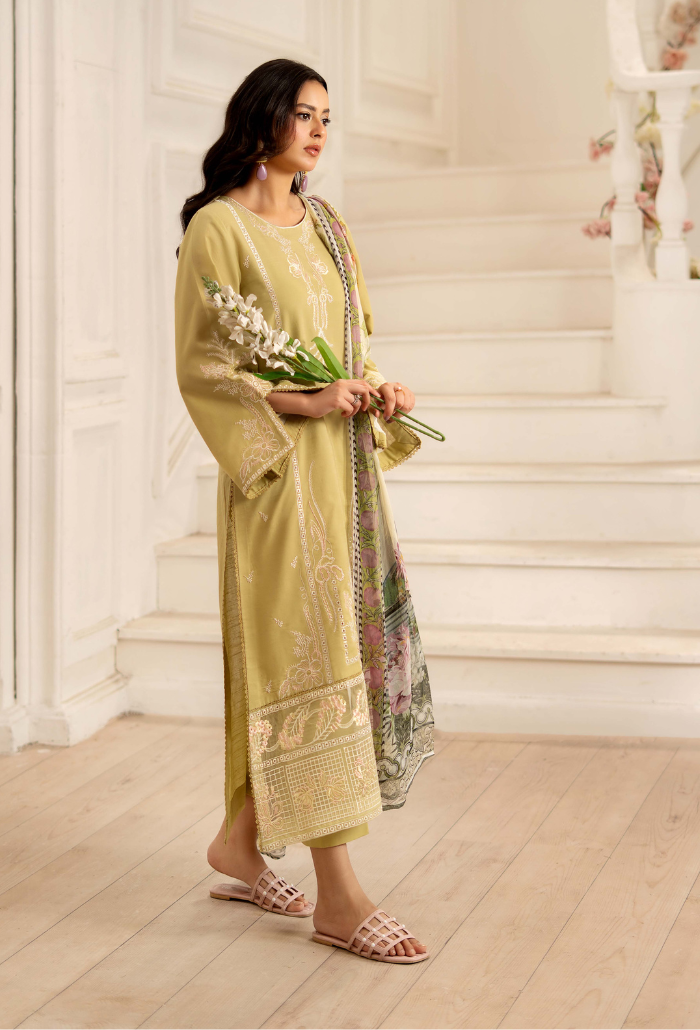 Inara-D07 Organza Pakistani Summer Dresses - Humdum - 3