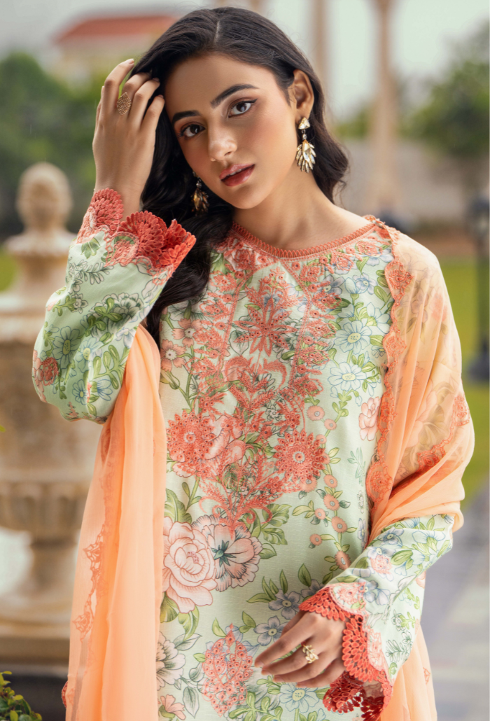 Diva - D03 Chiffon Pakistani Winter Dresses - Humdum - 2
