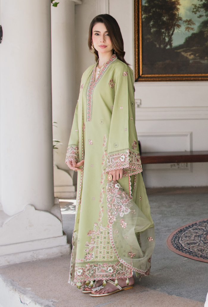 Meraki'2 - D05 Organza Pakistani Summer Dresses - Humdum - 3