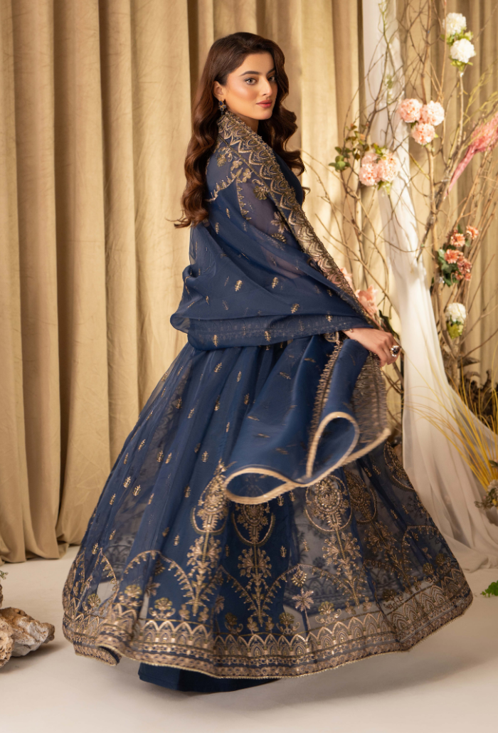 HOC - D08 Raw Silk Pakistani Formal Dresses - Humdum - 2