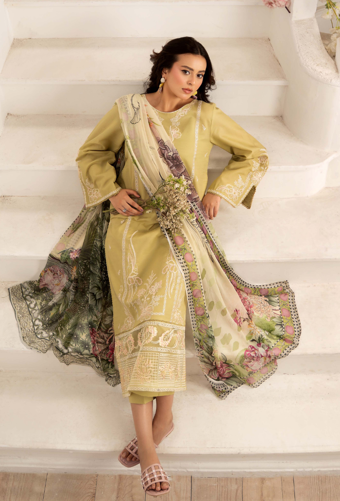 Inara-D07 Organza Pakistani Summer Dresses - Humdum - 4
