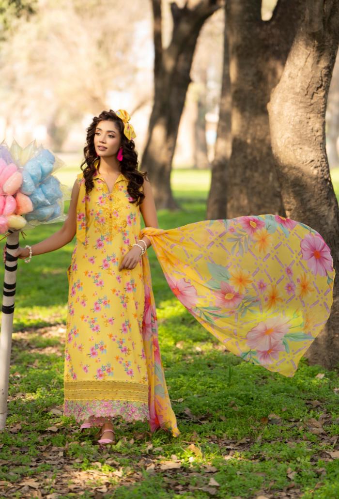 Eden Garden Chapter 3 - D03 Chiffon Pakistani Summer Dresses - Humdum - 3