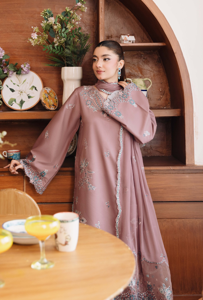 Mirha'2 - D08 Organza Pakistani Summer Dresses - Humdum - 4