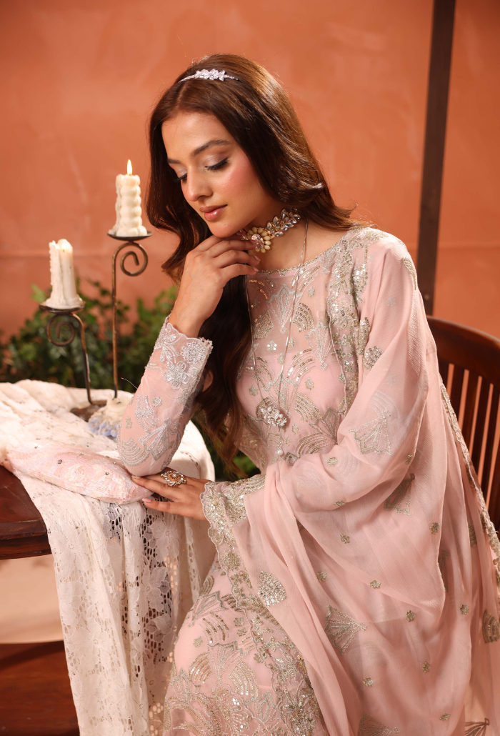 Heer-D04 Organza Pakistani Formal Dresses - Humdum - 4