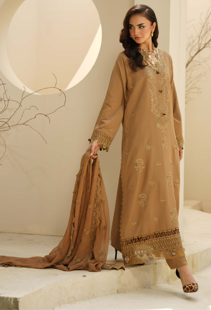 Mushak - D06 Chiffon Pakistani Winter Dresses - Humdum - 3