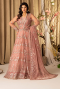 HOC - D09 Raw Silk Pakistani Formal Dresses - Humdum - 1