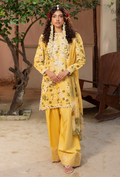 Zaiba - D03 Chiffon Pakistani Winter Dresses - Humdum - 1
