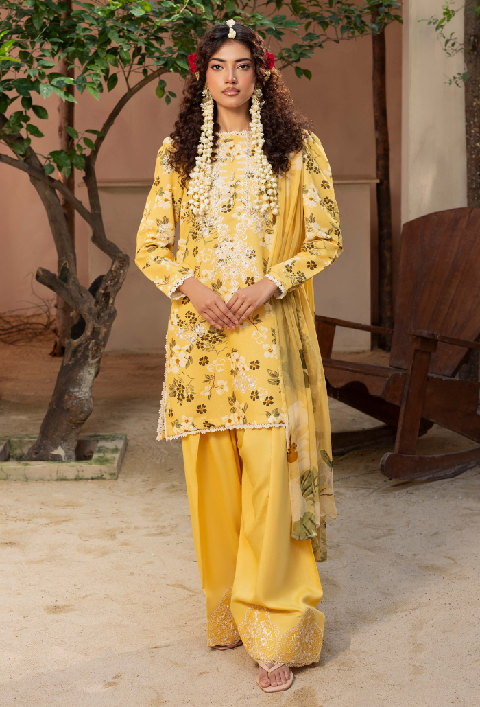 Zaiba - D03 Chiffon Pakistani Winter Dresses - Humdum - 1