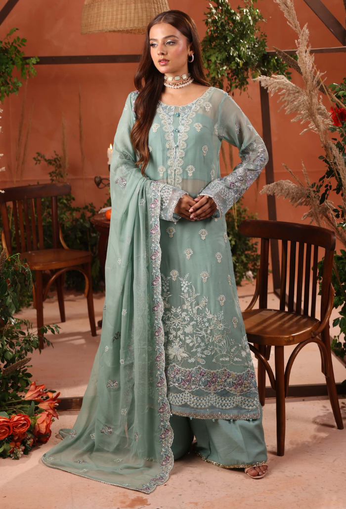 Heer-D06 Organza Pakistani Formal Dresses - Humdum - 2