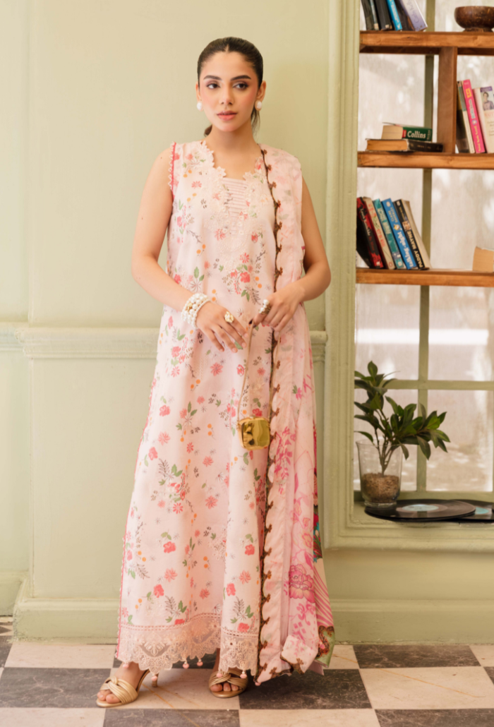 Senora'2 - D06 Organza Pakistani Summer Dresses - Humdum - 1