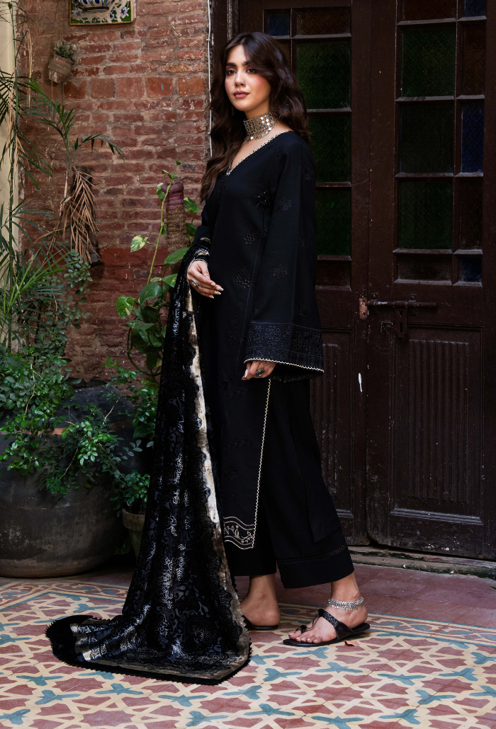 ZOUQ CHAPTER 2 - D01 Premium Fabric Pakistani Winter Dresses - Humdum - 2