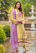 Diva - D09 Chiffon Pakistani Winter Dresses - Humdum - 1