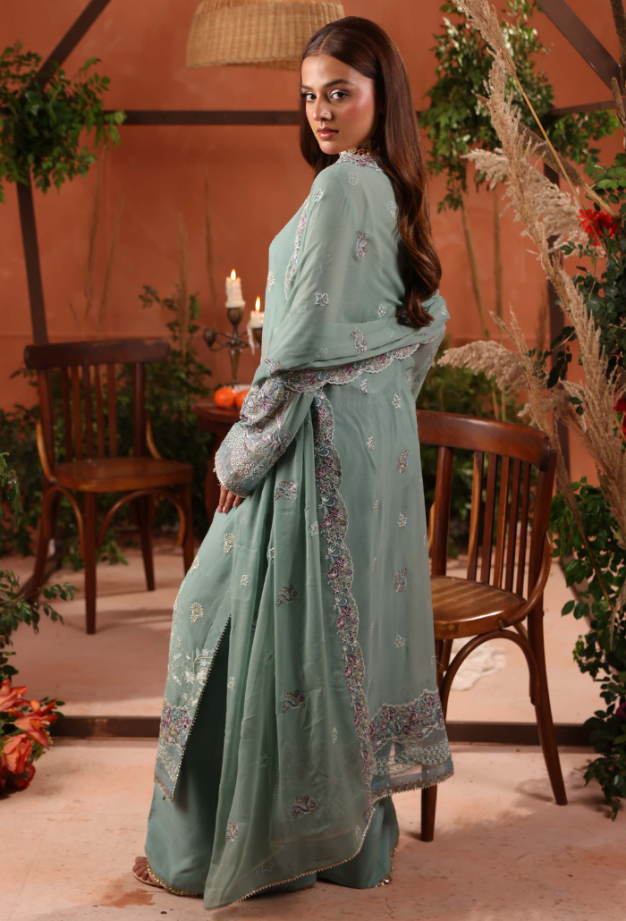 Heer-D06 Organza Pakistani Formal Dresses - Humdum - 3