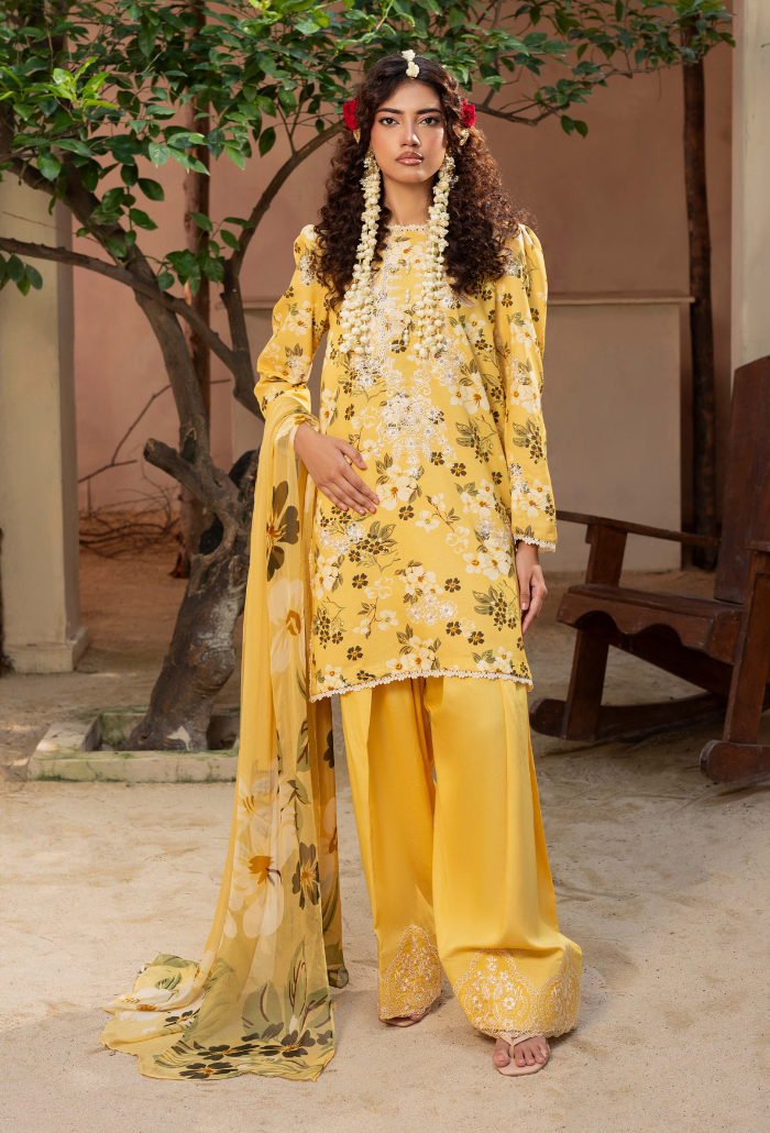 Zaiba - D03 Chiffon Pakistani Winter Dresses - Humdum - 3