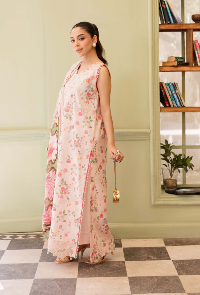Senora'2 - D06 Organza Pakistani Summer Dresses - Humdum - 3
