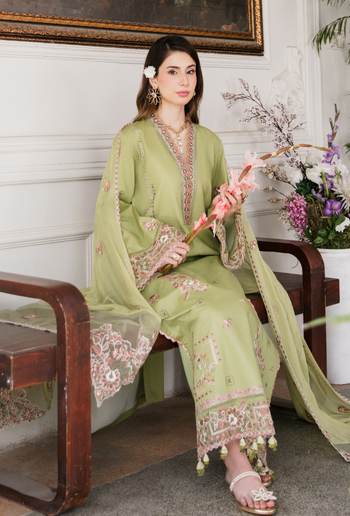 Meraki'2 - D05 Organza Pakistani Summer Dresses - Humdum - 4