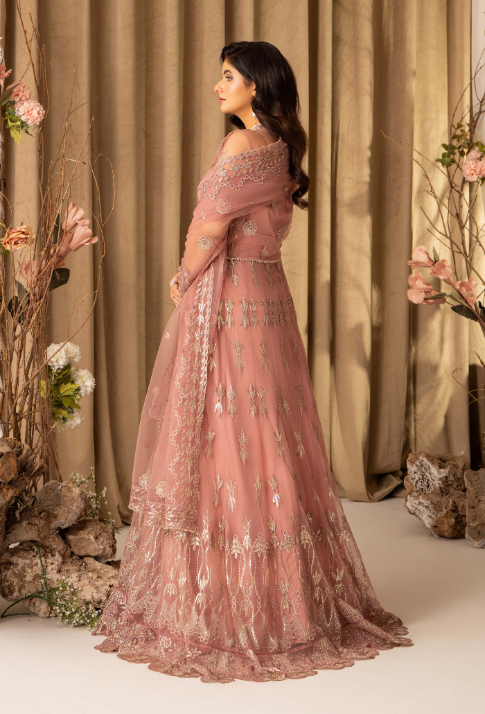 HOC - D09 Raw Silk Pakistani Formal Dresses - Humdum - 2