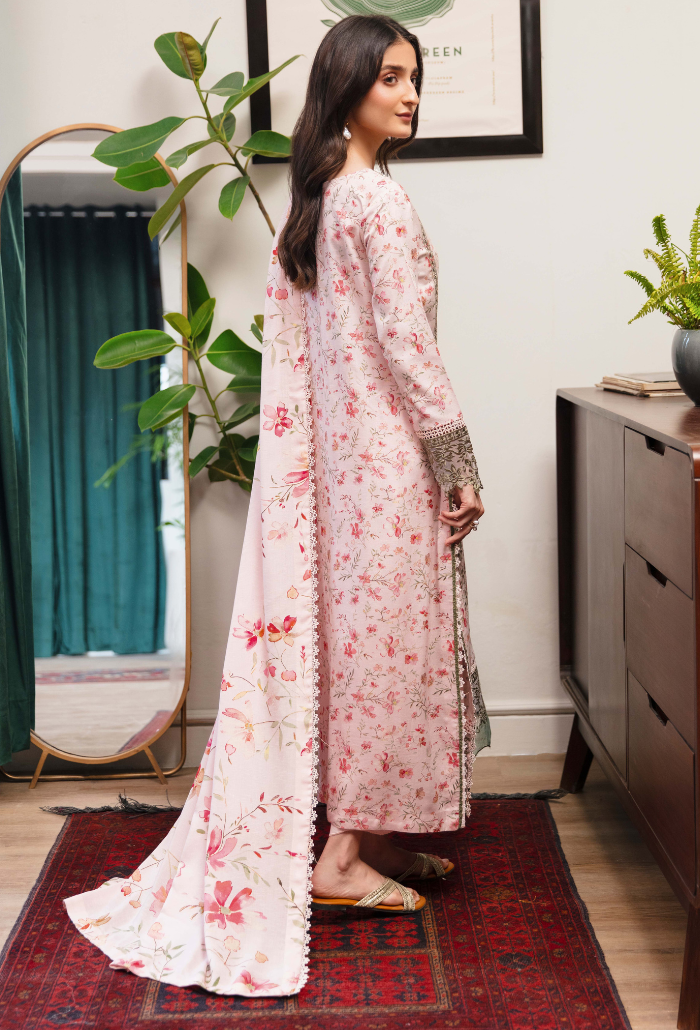LAIBA - D08 Organza Pakistani Winter Dresses - Humdum - 2