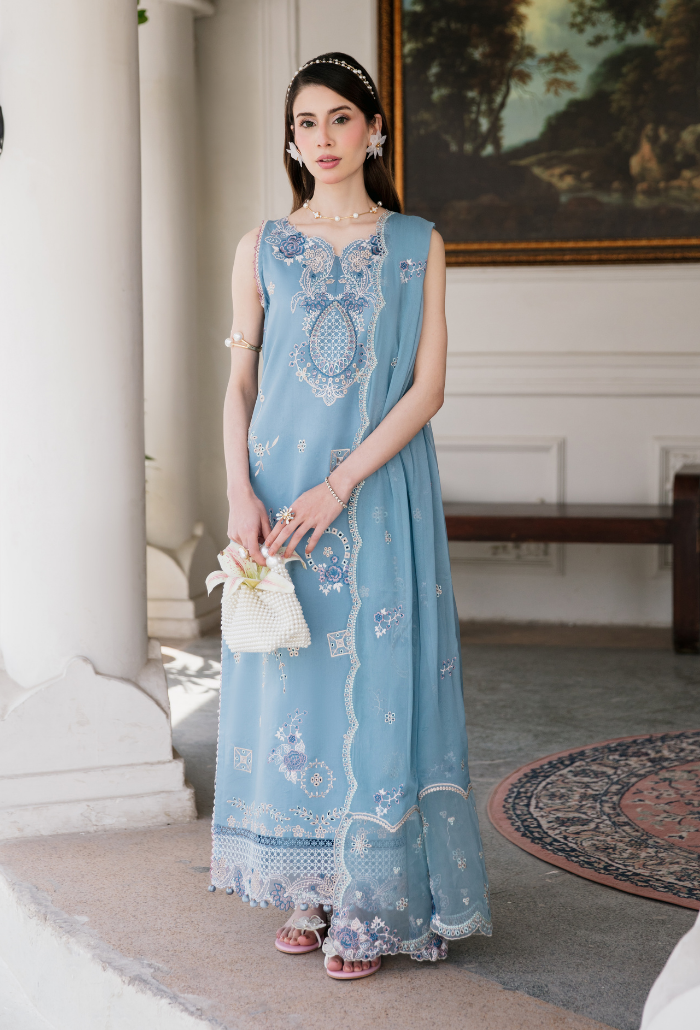 Meraki'2 - D04 Organza Pakistani Summer Dresses - Humdum - 1