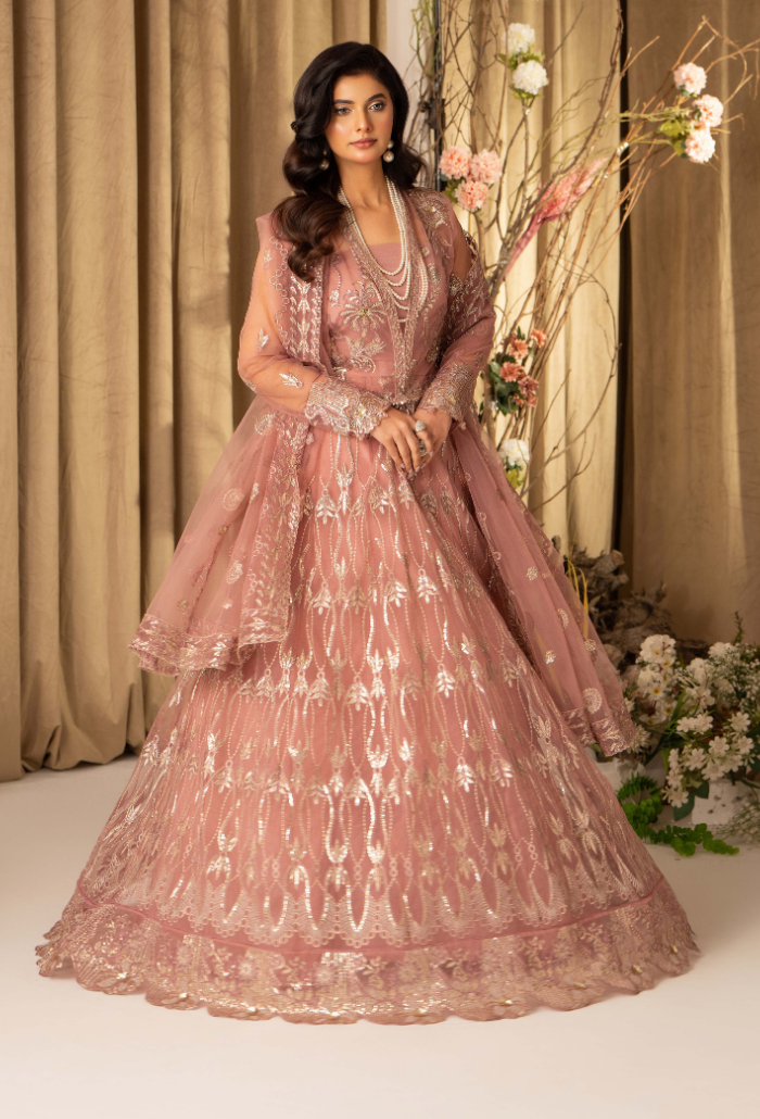 HOC - D09 Raw Silk Pakistani Formal Dresses - Humdum - 3