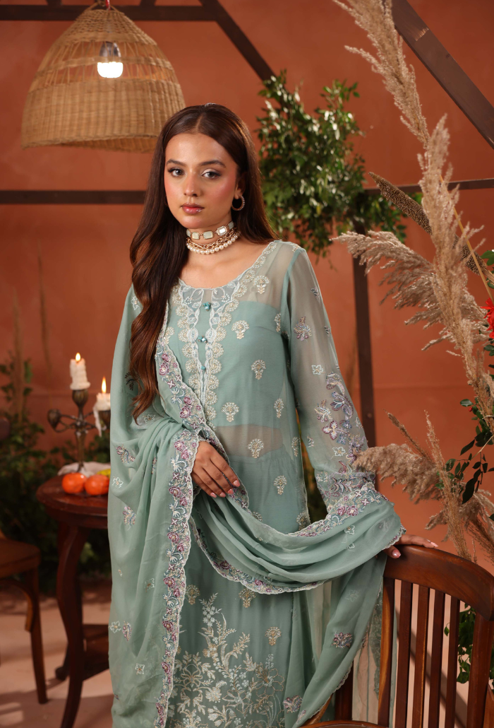 Heer-D06 Organza Pakistani Formal Dresses - Humdum - 4