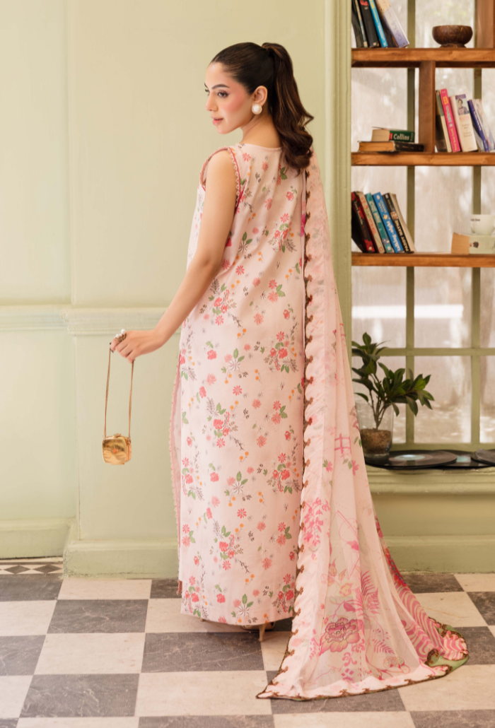 Senora'2 - D06 Organza Pakistani Summer Dresses - Humdum - 2