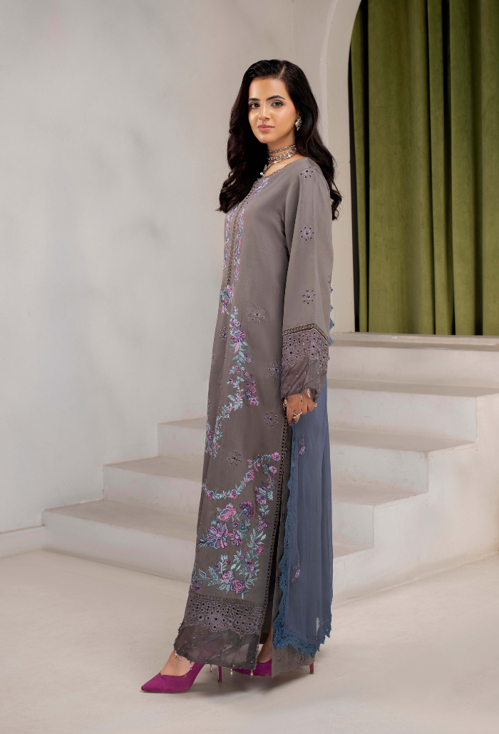 ELLENA - D08 Chiffon Pakistani Winter Dresses - Humdum - 2