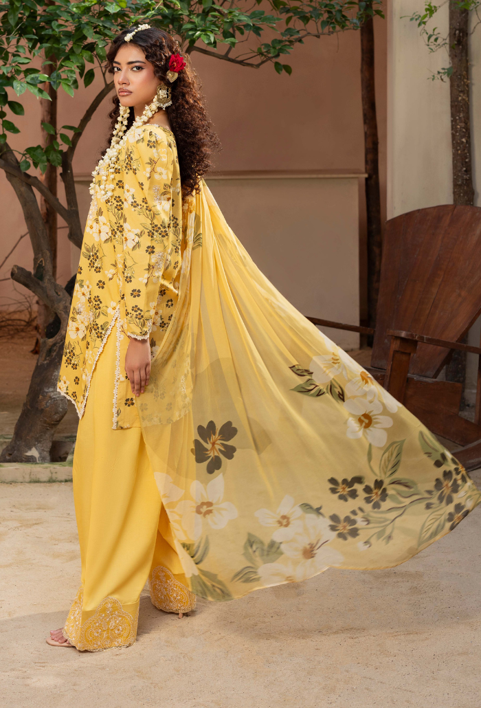 Zaiba - D03 Chiffon Pakistani Winter Dresses - Humdum - 2