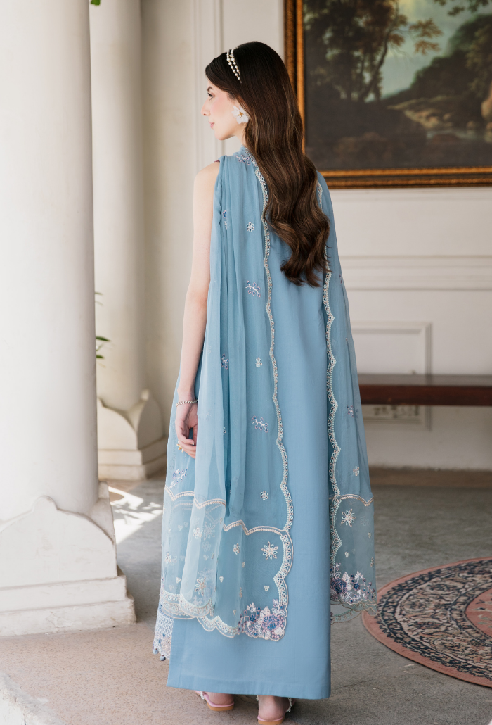 Meraki'2 - D04 Organza Pakistani Summer Dresses - Humdum - 2