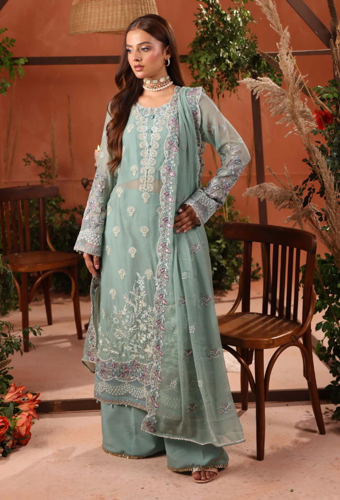 Heer-D06 Organza Pakistani Formal Dresses - Humdum - 1