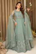 HOC - D10 Raw Silk Pakistani Formal Dresses - Humdum - 1