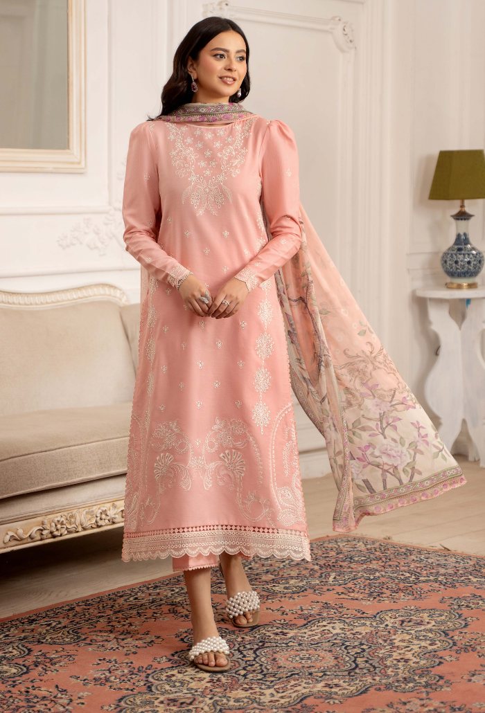 Inara-D04 Organza Pakistani Summer Dresses - Humdum - 1