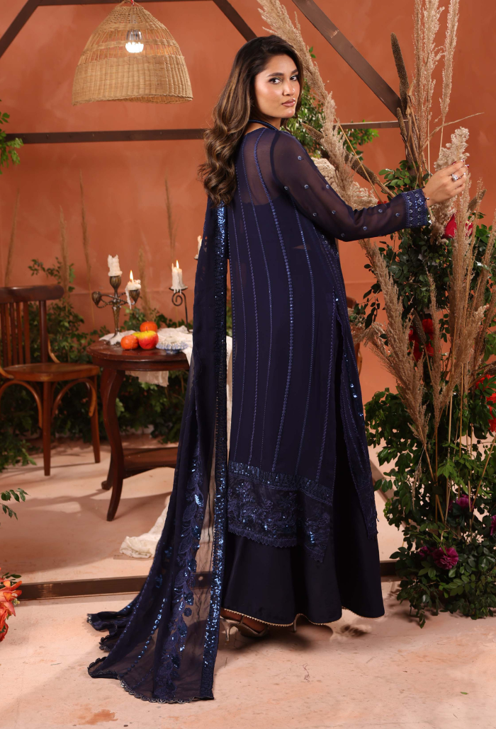 Heer-D07 Organza Pakistani Formal Dresses - Humdum - 3