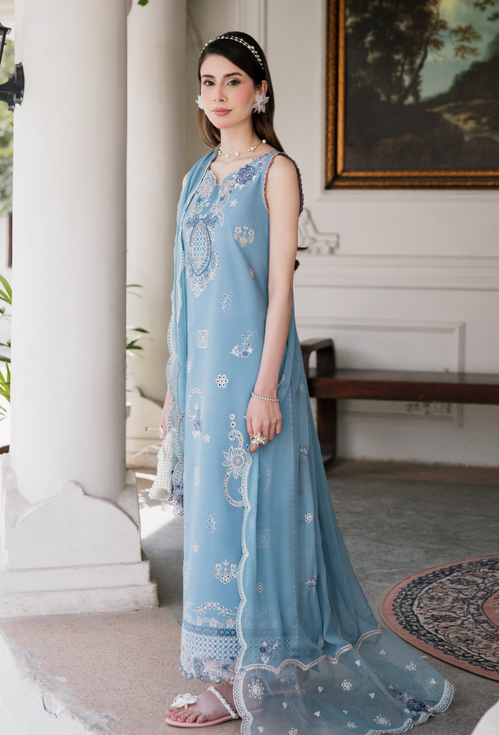Meraki'2 - D04 Organza Pakistani Summer Dresses - Humdum - 3