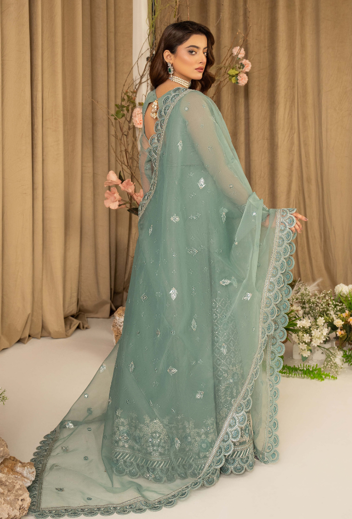 HOC - D10 Raw Silk Pakistani Formal Dresses - Humdum - 2