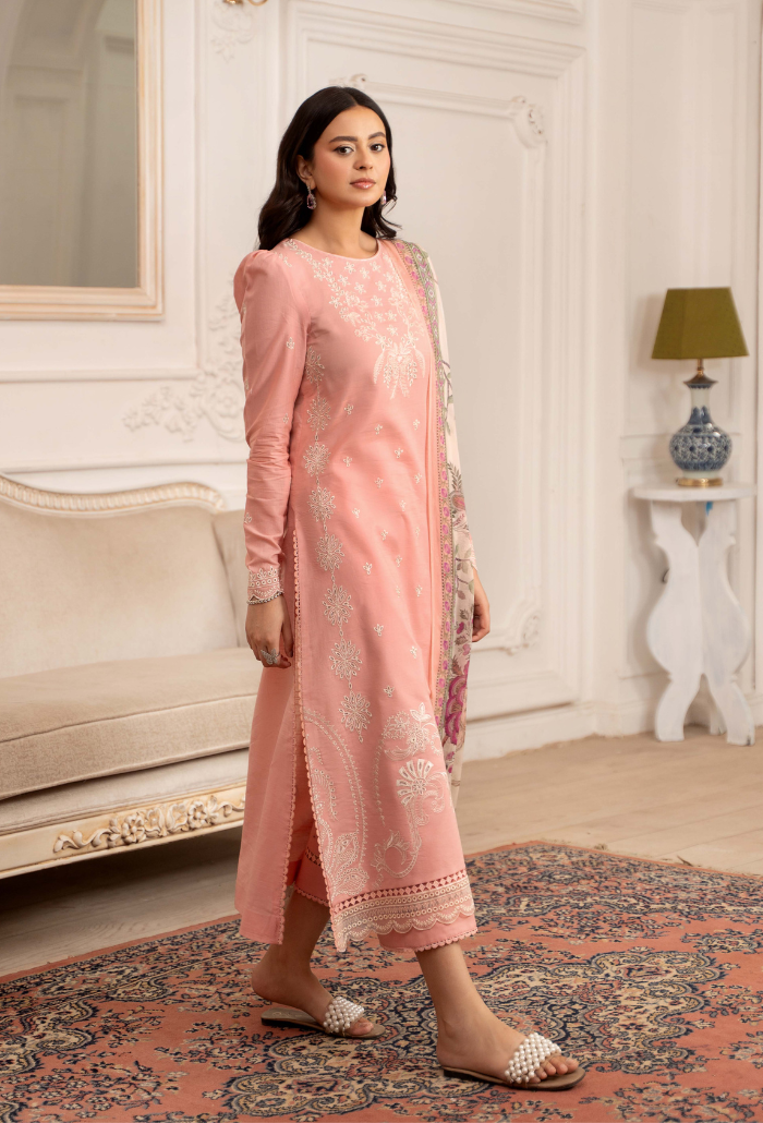 Inara-D04 Organza Pakistani Summer Dresses - Humdum - 2