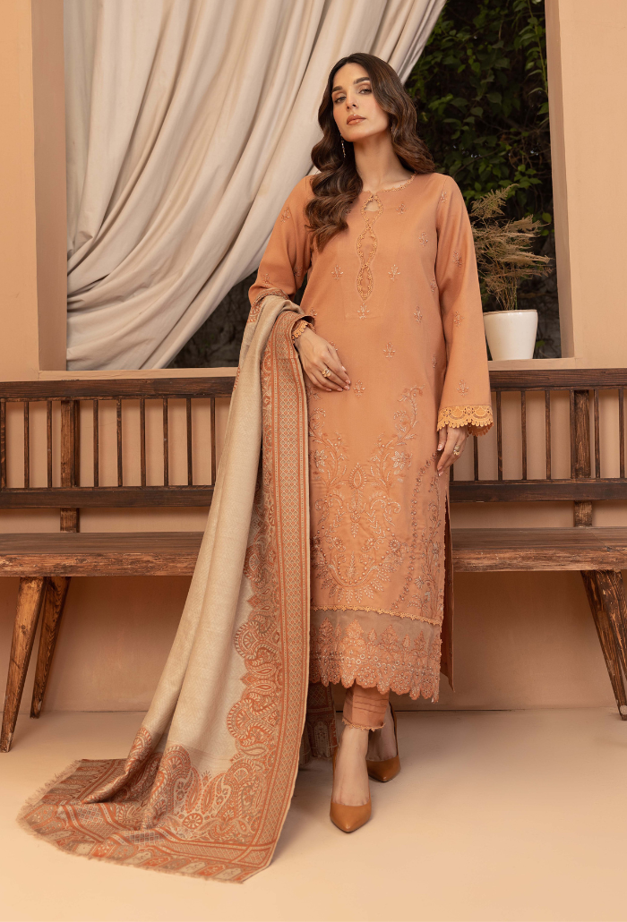 Carvan-D06 Premium Fabric Pakistani Winter Dresses - Humdum - 2
