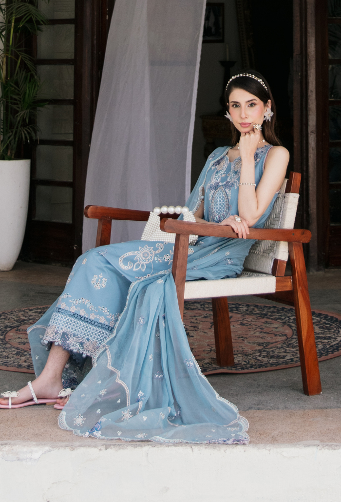 Meraki'2 - D04 Organza Pakistani Summer Dresses - Humdum - 4