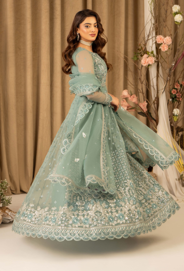 HOC - D10 Raw Silk Pakistani Formal Dresses - Humdum - 3