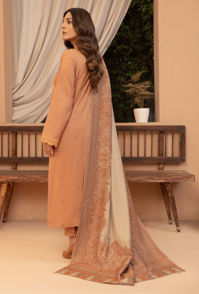 Carvan-D06 Premium Fabric Pakistani Winter Dresses - Humdum - 3
