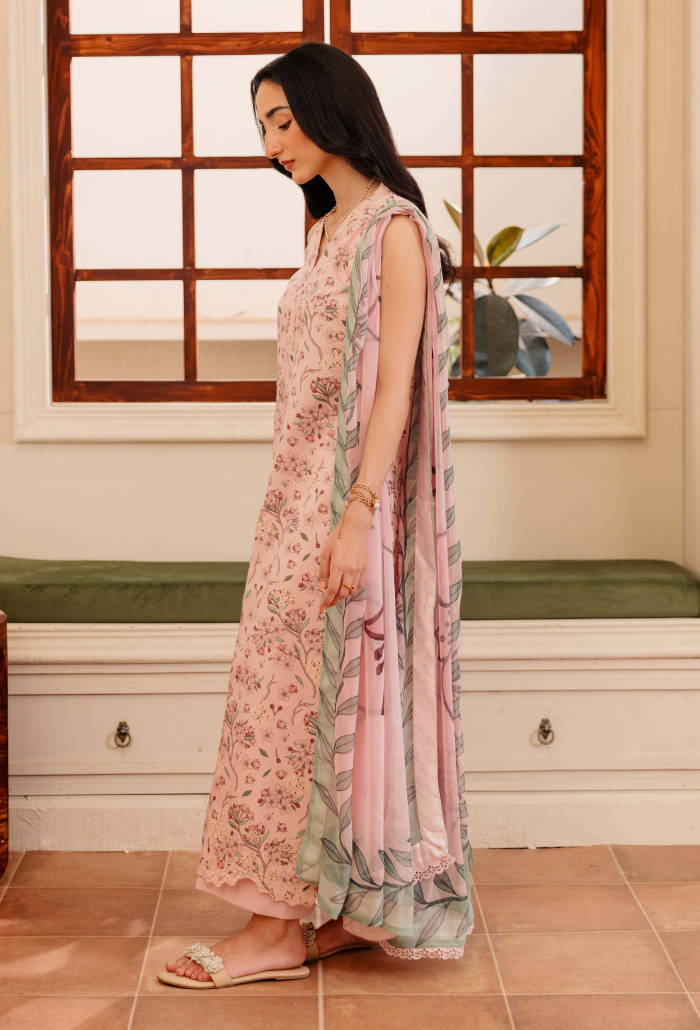 MIRAL - D07 Chiffon Pakistani Winter Dresses - Humdum - 3