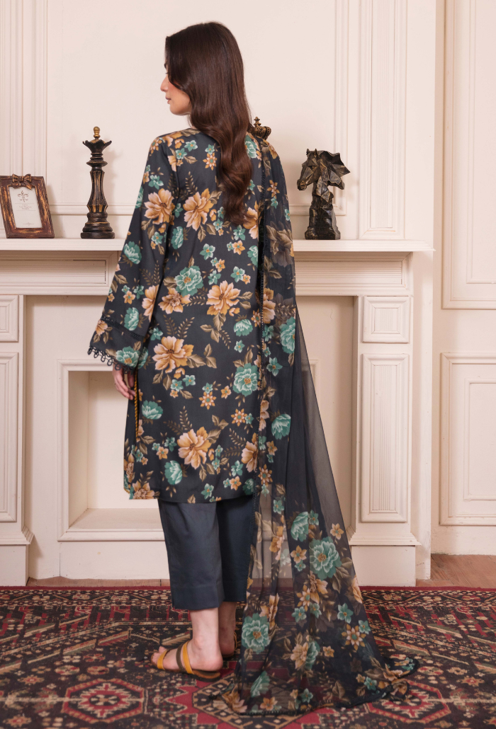 COCO - D06 Chiffon Pakistani Winter Dresses - Humdum - 2
