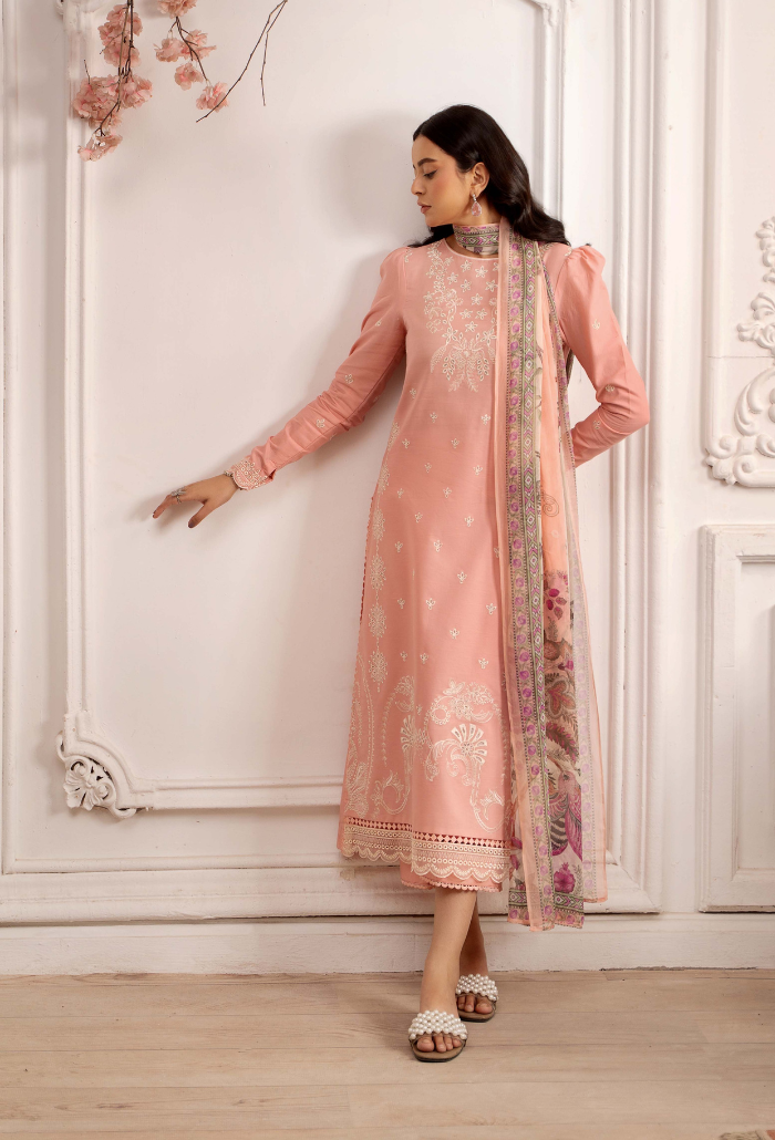 Inara-D04 Organza Pakistani Summer Dresses - Humdum - 3